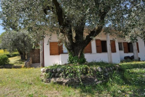 LA CASA TRA GLI OLIVI